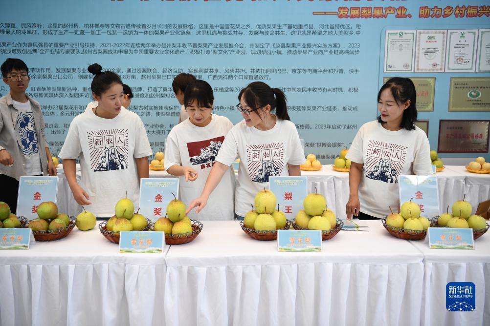 仙人娱乐棋牌